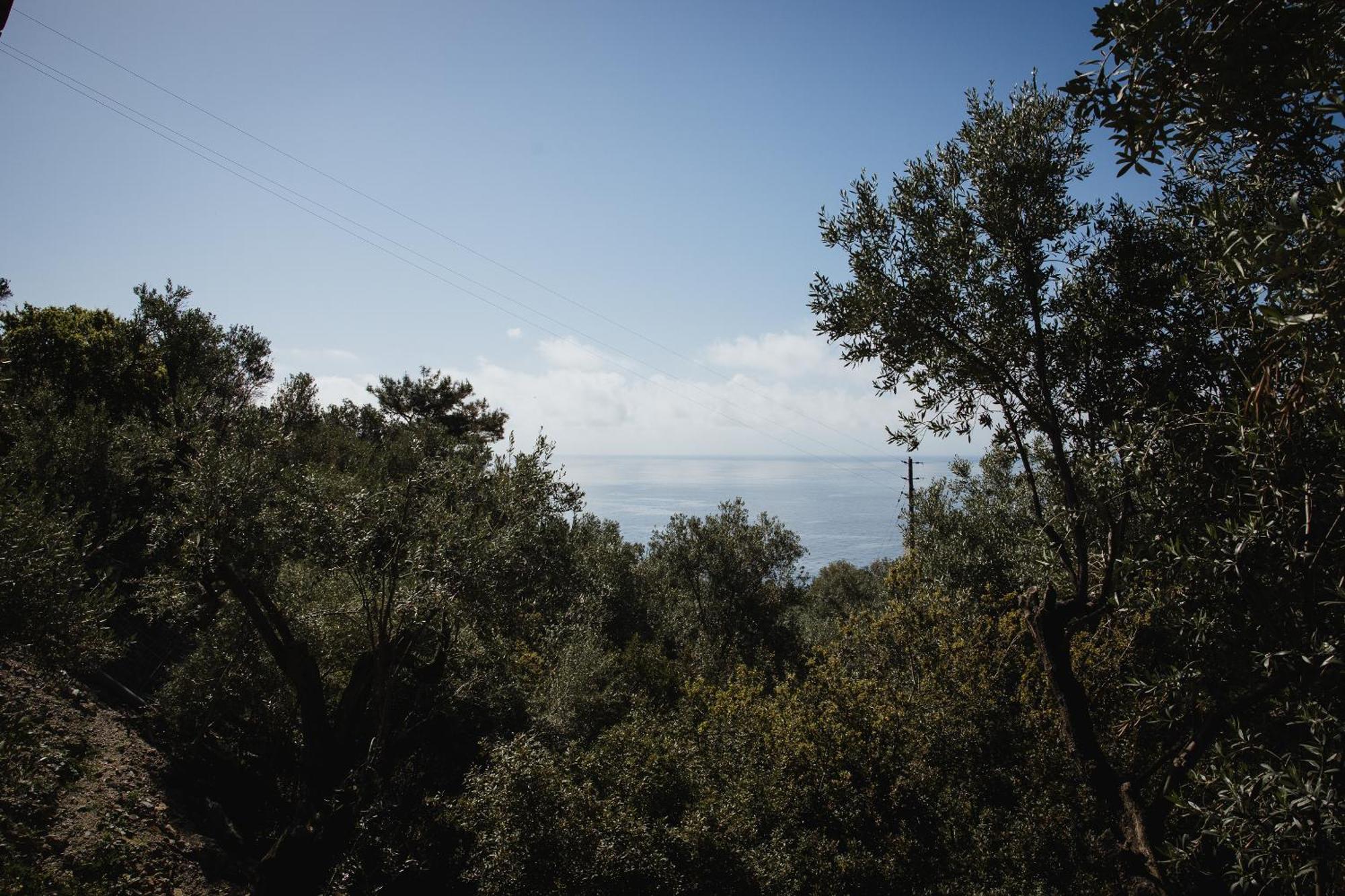 Five Olive Dream Trip Vila Plomari Exterior foto